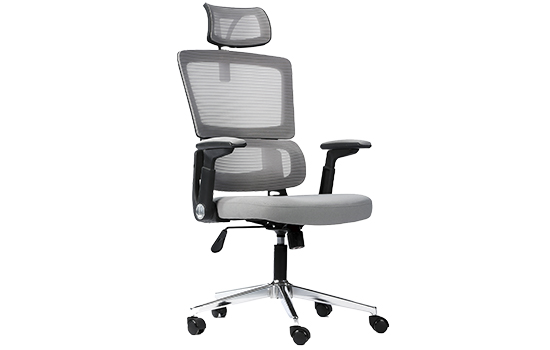 Bluecase Office Ergo Prime